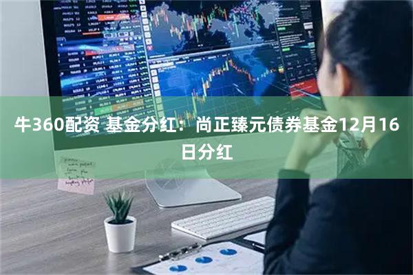 牛360配资 基金分红：尚正臻元债券基金12月16日分红