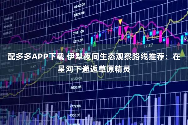 配多多APP下载 伊犁夜间生态观察路线推荐:在星河下邂逅草原精灵