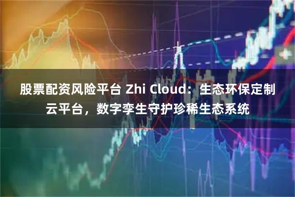 股票配资风险平台 Zhi Cloud：生态环保定制云平台，数字孪生守护珍稀生态系统