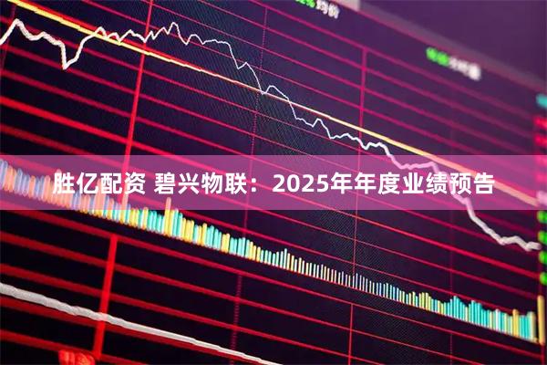 胜亿配资 碧兴物联：2025年年度业绩预告