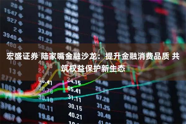 宏盛证券 陆家嘴金融沙龙：提升金融消费品质 共筑权益保护新生态